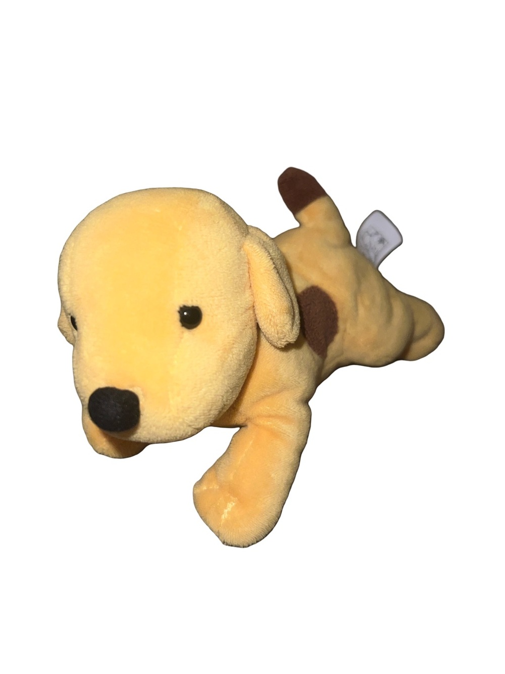 Fun With Spot The Dog 2019 Plush Eric Carl  Soft Toy 7”